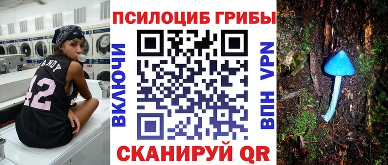Купить где  Батайск  Псилоцибиновые грибы ЛСД 